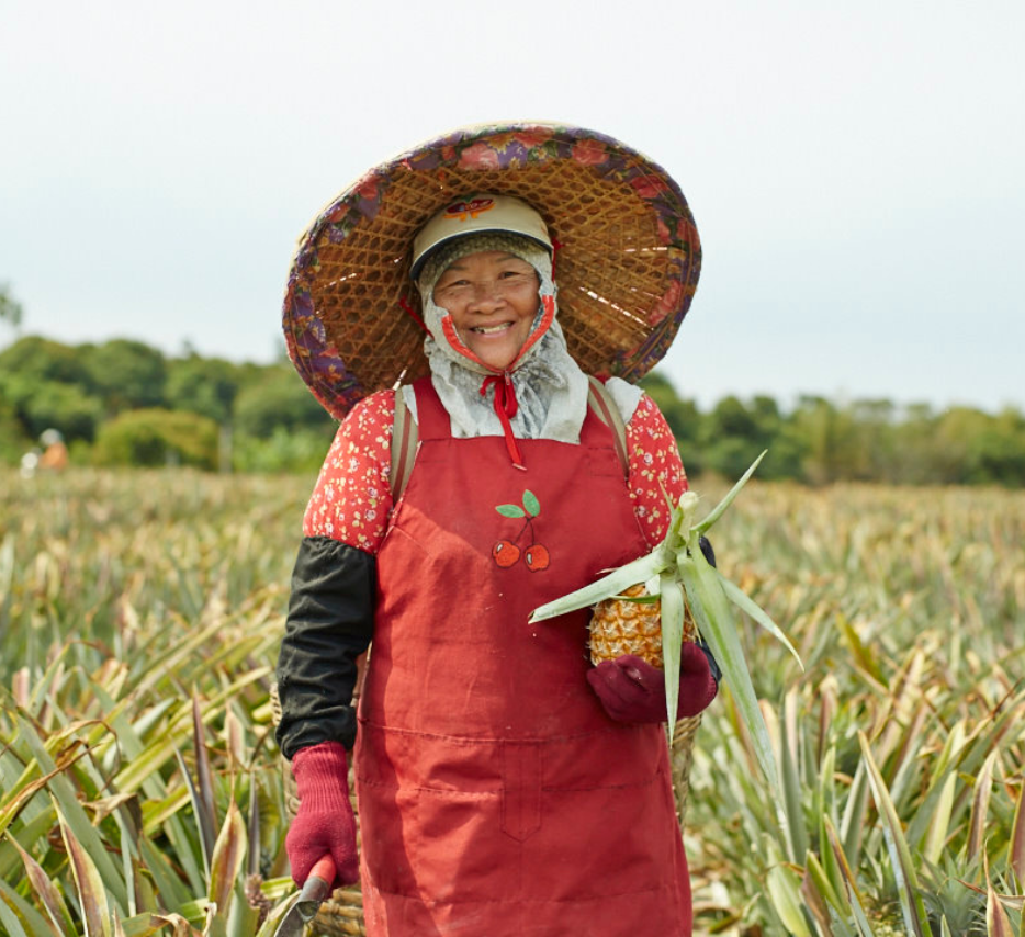 From a Farm in Nantou to Your Doorstep: The SunnyHills Story